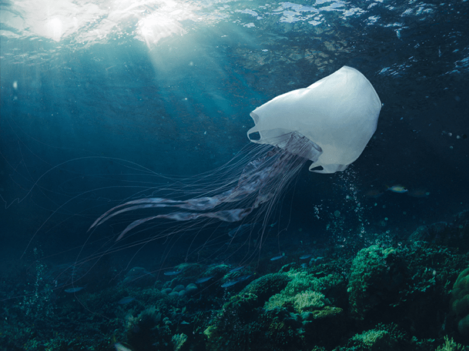 The plastic problem